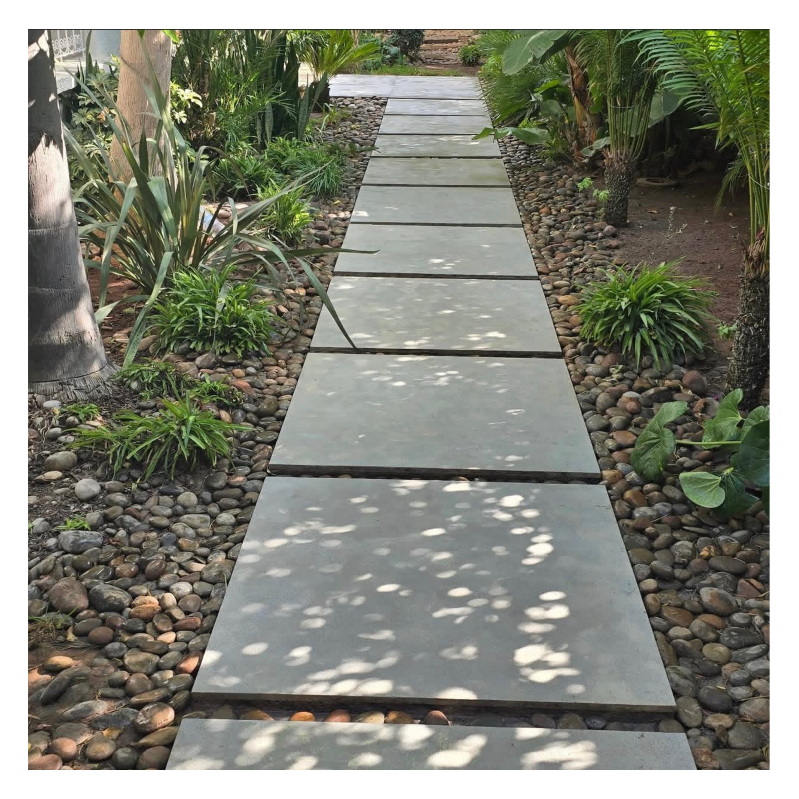 Pierre Taza pierre taza 3